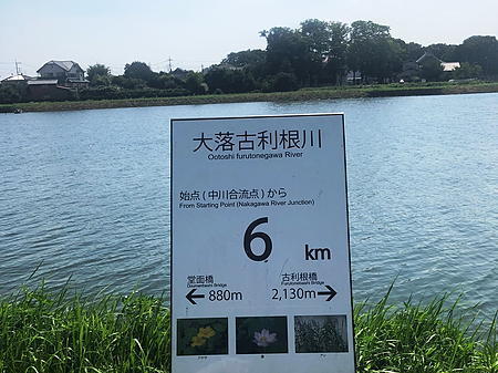 20180715_05.jpg