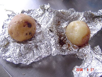 noz0809_16.jpg