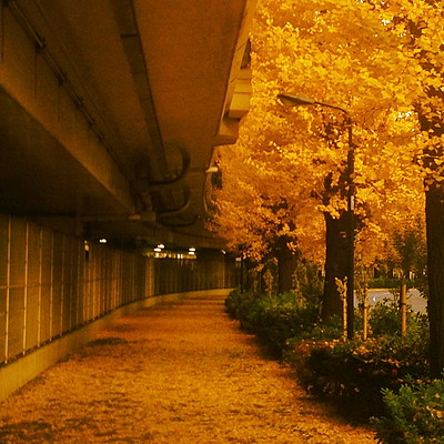 131209_01.jpg