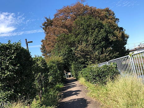181016_007.jpg