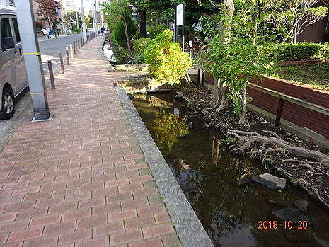 181020_004.jpg