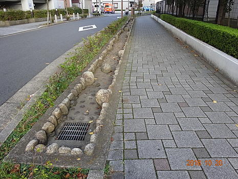 181020_005.jpg