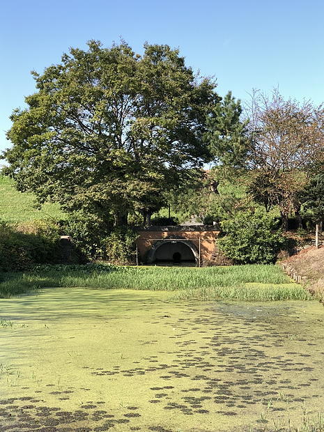 181028_003.jpg